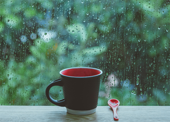 1702627853322098.jpg 20210317131461526152.jpg